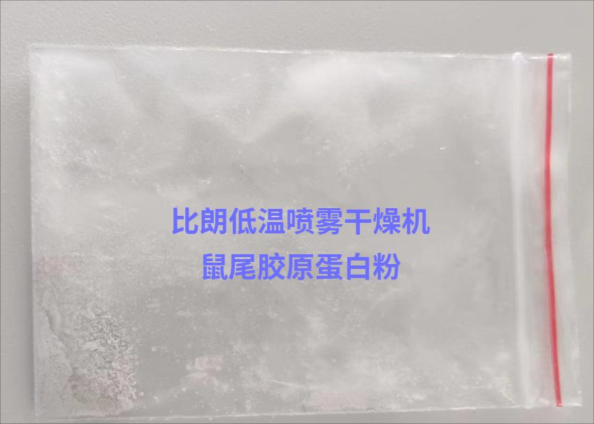 鼠膠原蛋白(1)(1)